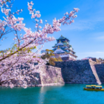 🌸 この春行きたい！日本の絶景お花見スポット3選 🌸